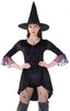 Womens Witch Costume Dress, Black Velour Bodysuit with Hat & Fishnet Tights