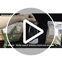 Witchcraft Herbs Kit, Dried Herbs and Flowers for Witch Beginners, 40 Pack