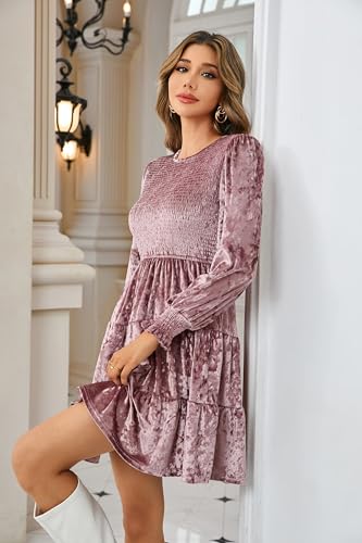 R.Vivimos Women's Fall Crushed Velvet Long Sleeve Mini Dress