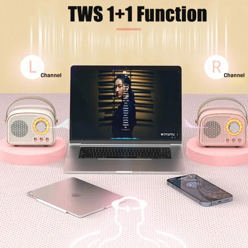 Retro Mini Bluetooth Speaker with FM Radio