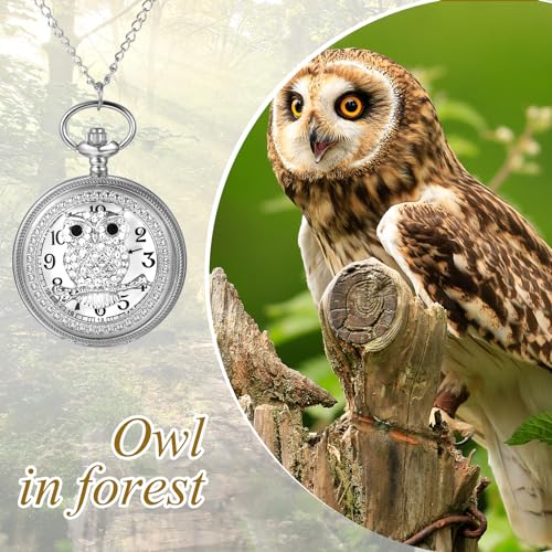 Women's Pocket Watch Skeleton Owl Pocket Watches Pendant Necklace Rhin