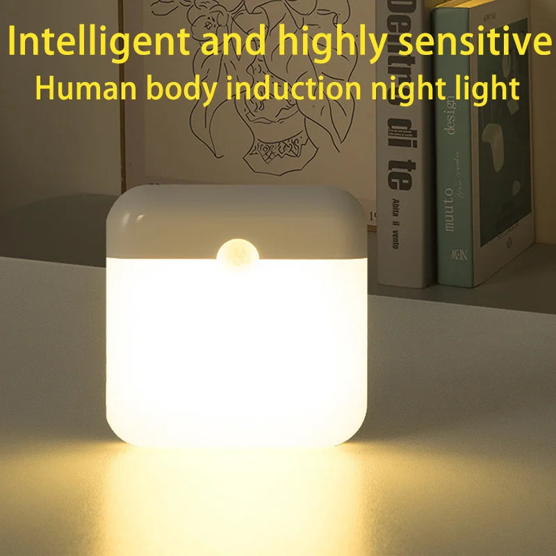 Motion Sensor LED Light