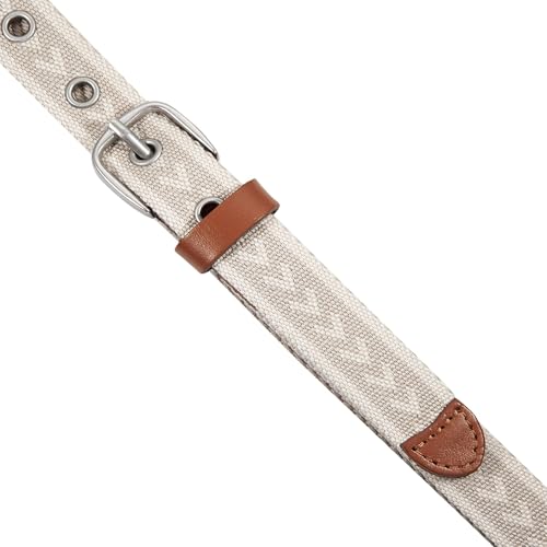 Eddie Bauer Womens Cascade Grommet Webbing Belt With Metal Buckle