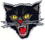 Black Screaming Cat Rockabilly Goth Punk Embroidered Patch