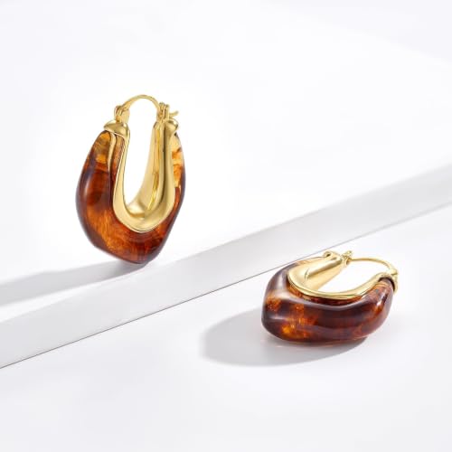 KELORIS PATH Acrylic Hoop Earrings for Women