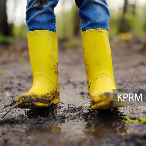 Women's Rain Boots Waterproof Mid Calf Rubber Boots For