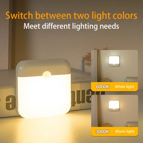 Motion Sensor LED Light