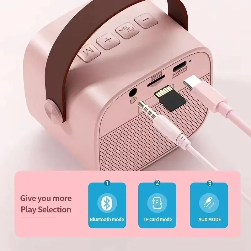 Home Karaoke Machine with Dual Microphones & Bluetooth