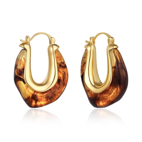 KELORIS PATH Acrylic Hoop Earrings for Women Main image