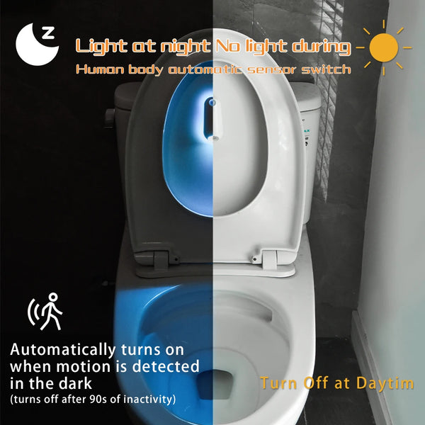 Toilet Night LED Light
