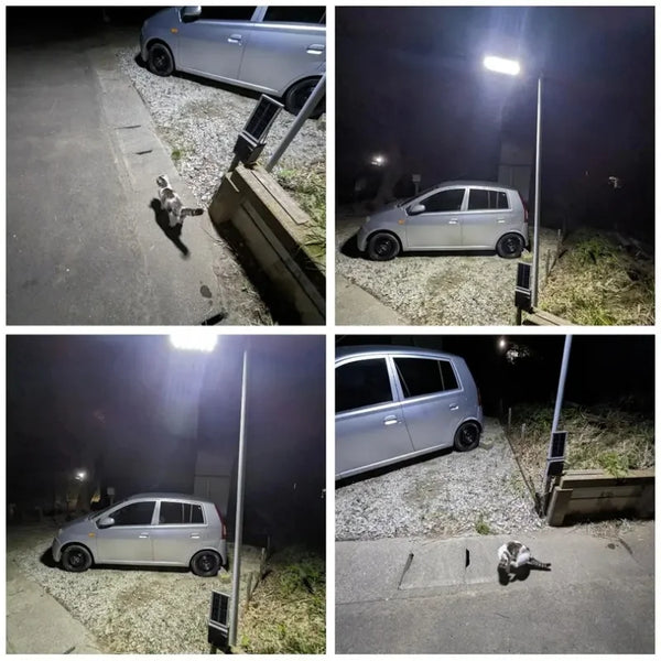 250w Solar LED Light Motion Sensor With Remote 3 Modes Street Lamp for Yard Garden Path