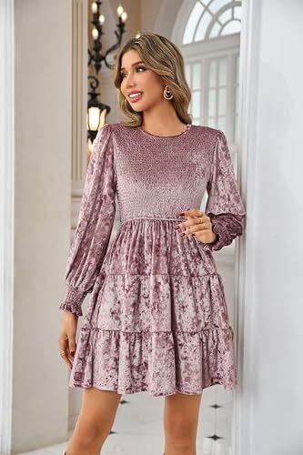 R.Vivimos Women's Fall Crushed Velvet Long Sleeve Mini Dress