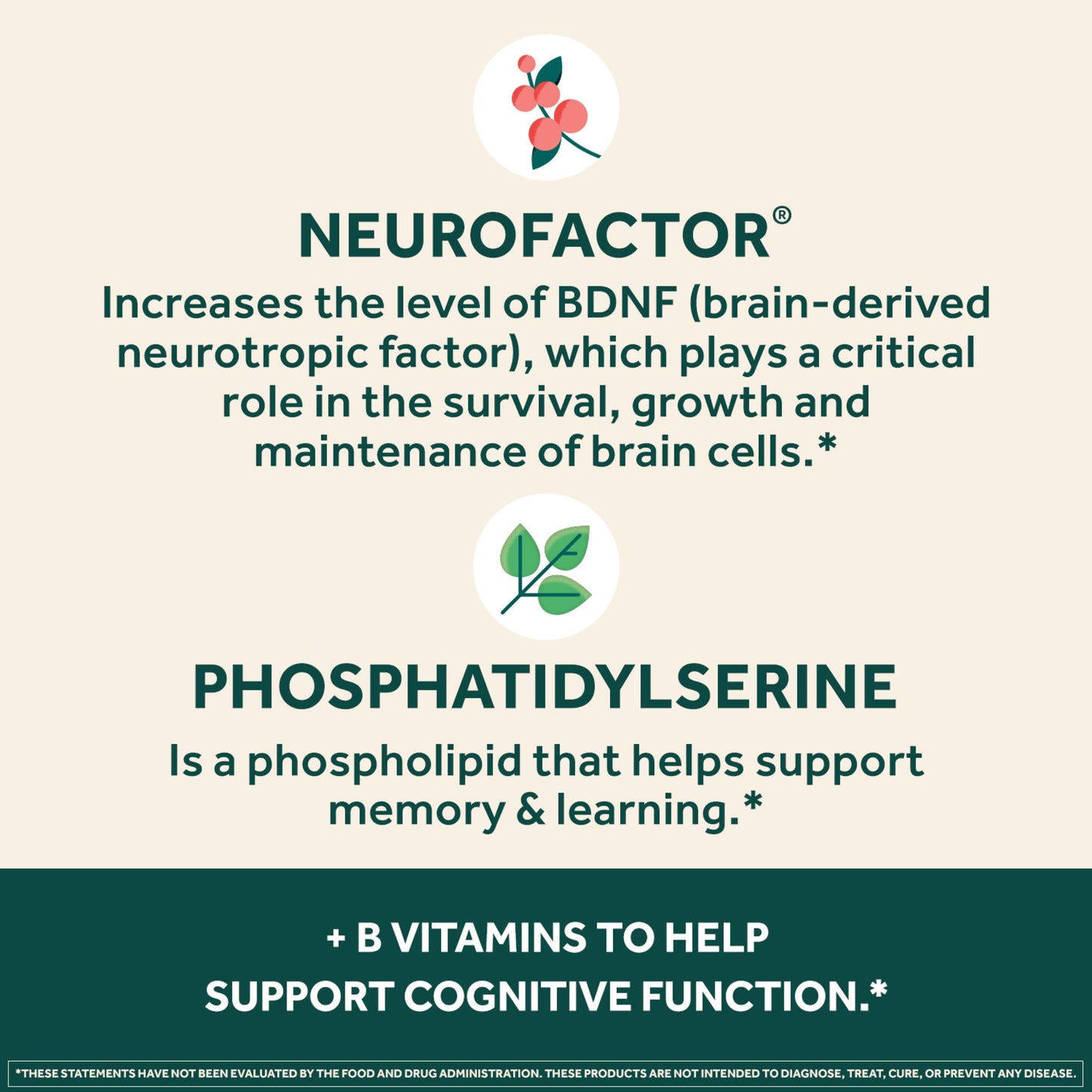 Neuriva Plus Brain Booster With Vitamin B6 & B12 Functionality, Memory and Focus Brain Stimulation