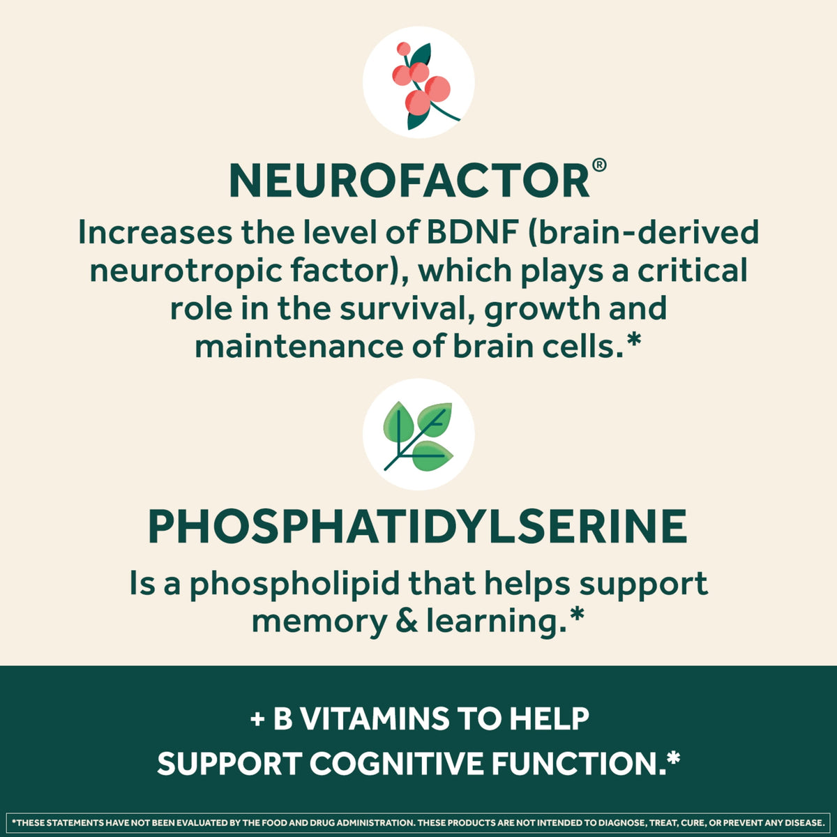 Neuriva Plus Brain Booster With Vitamin B6 & B12 Functionality, Memory and Focus Brain Stimulation