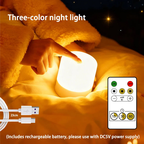 LED Night Light Dimmable Rechargeable/plug-in Desktop Bedroom Bedside Lighting Decorative Touchsc...