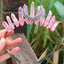 1PC Natural Crystal Quartz Moon Crown Wicca Headband - Spiritual Jewelry