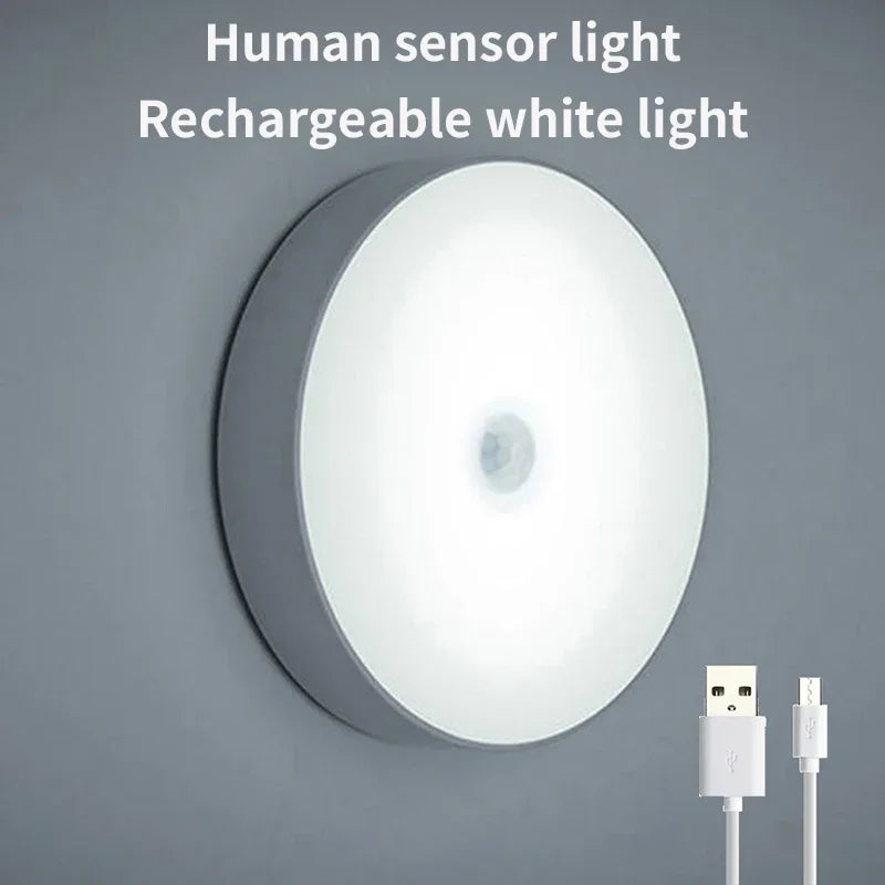 LED Smart Human Body Sensor Night LED Light