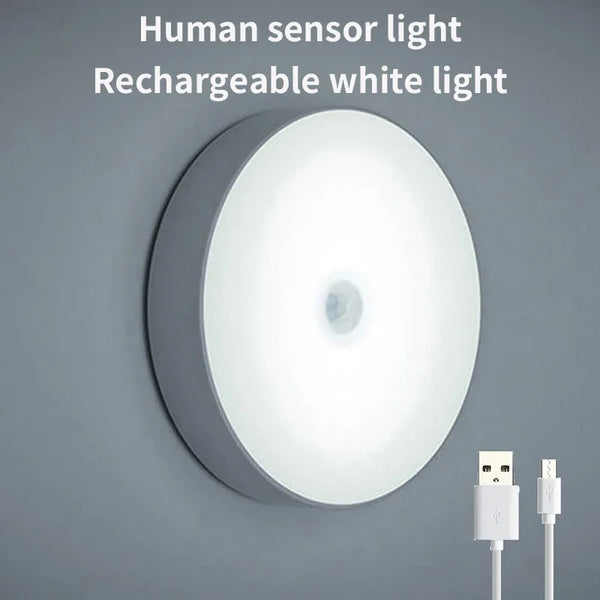 LED Smart Human Body Sensor Night LED Light