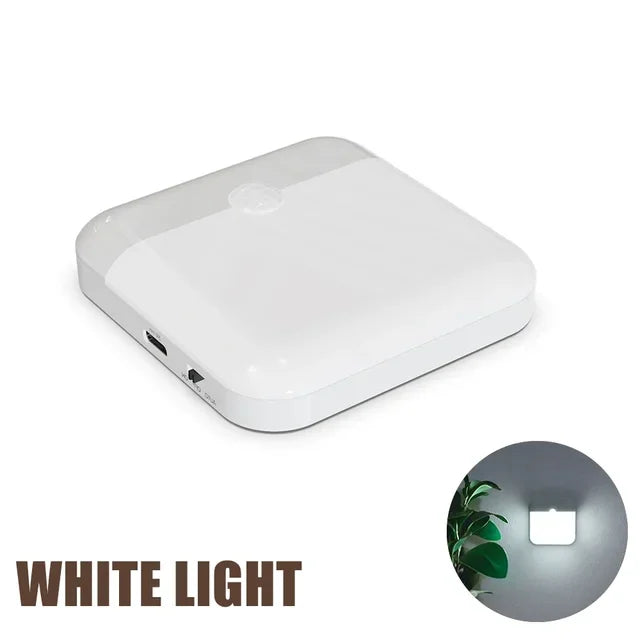 Motion Sensor LED Light