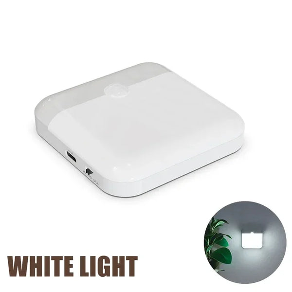 Motion Sensor LED Light