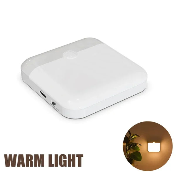 Motion Sensor LED Light