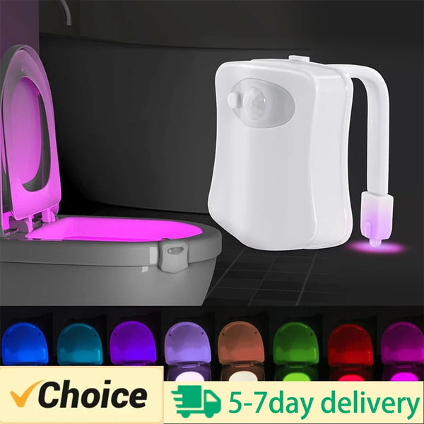 Homefish Wireless Motion Sensor LED Night LED Light