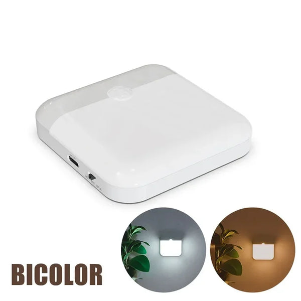 Motion Sensor LED Light