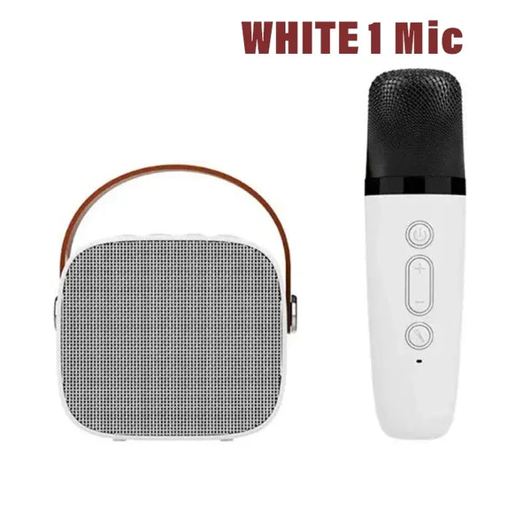Home Karaoke Machine with Dual Microphones & Bluetooth