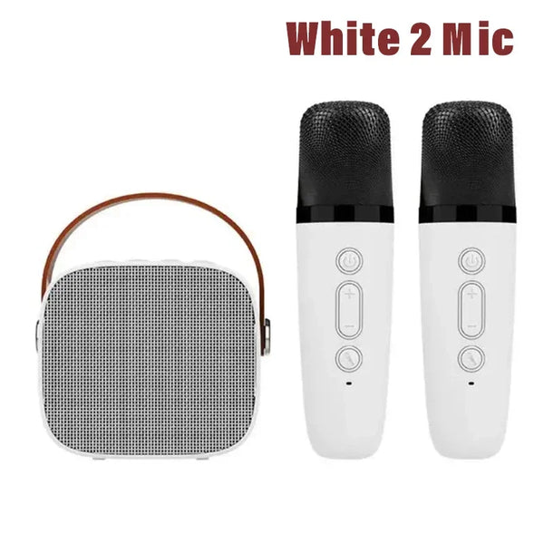Home Karaoke Machine with Dual Microphones & Bluetooth