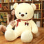 Valentine's Teddy Bear - Romantic Plush Gift