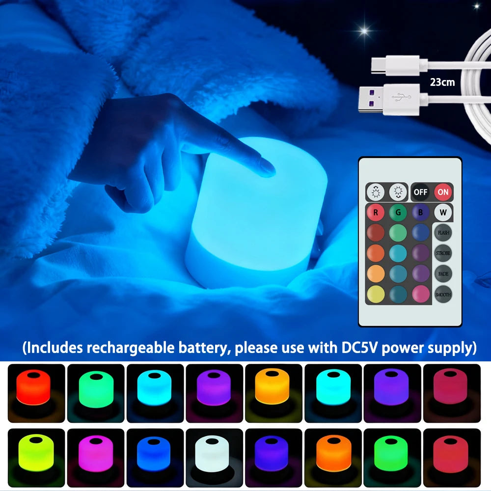 LED Night Light Dimmable Rechargeable/plug-in Desktop Bedroom Bedside Lighting Decorative Touchsc...